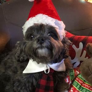 Meet your Posher, Melinda